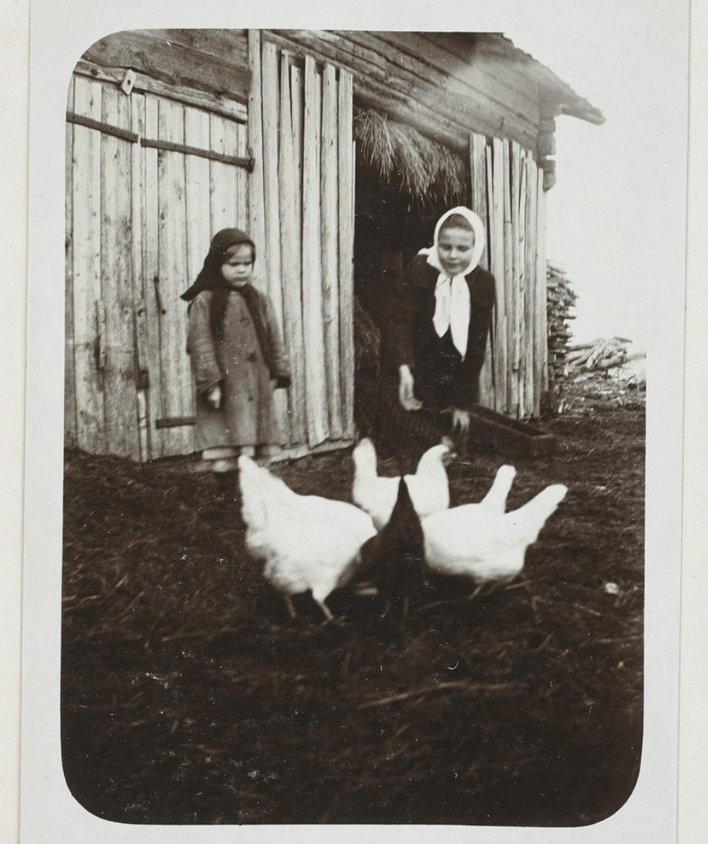 Kuva 2. Tytöt ruokkivat kanoja. Kuvaaja Liina Cantell, Kansatieteen kuvakokoelma, Karjalaisen osakunnan kokoelma, Museovirasto.
